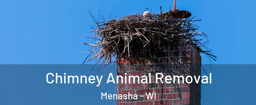  Chimney Animal Removal Menasha - WI
