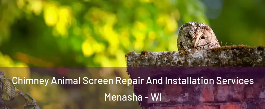  Chimney Animal Screen Repair And Installation Services Menasha - WI