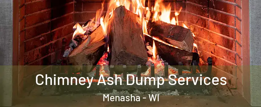  Chimney Ash Dump Services Menasha - WI
