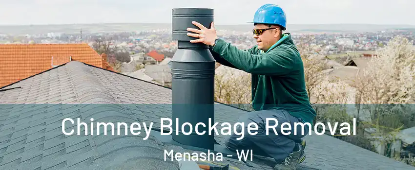  Chimney Blockage Removal Menasha - WI