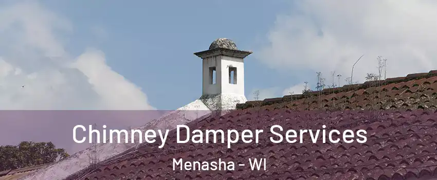  Chimney Damper Services Menasha - WI