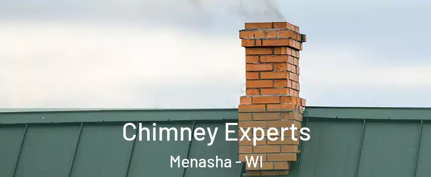  Chimney Experts Menasha - WI