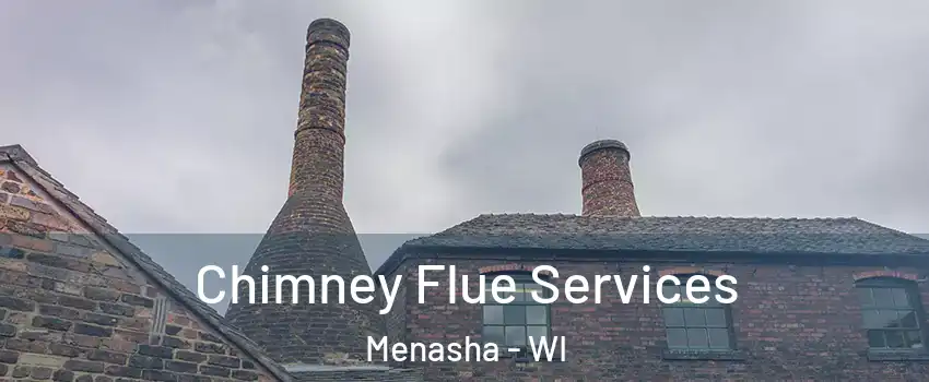  Chimney Flue Services Menasha - WI