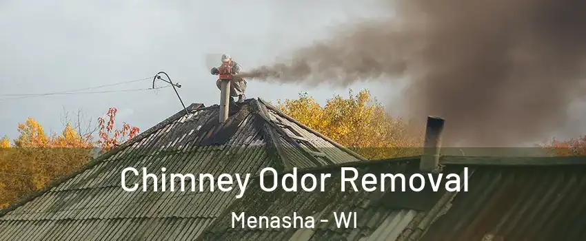  Chimney Odor Removal Menasha - WI