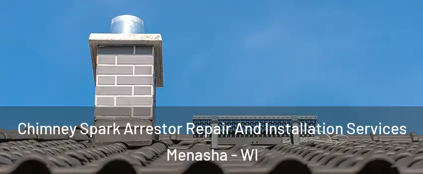 Chimney Spark Arrestor Repair And Installation Services Menasha - WI