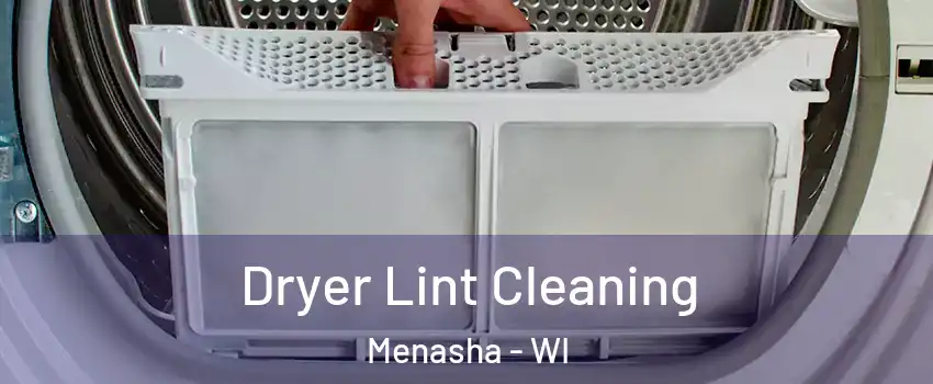  Dryer Lint Cleaning Menasha - WI