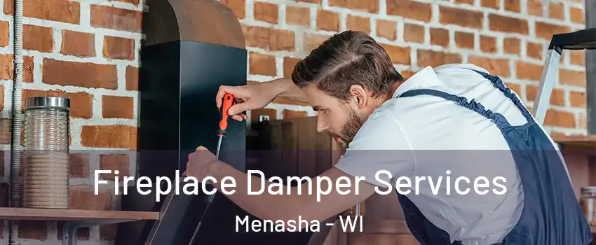  Fireplace Damper Services Menasha - WI