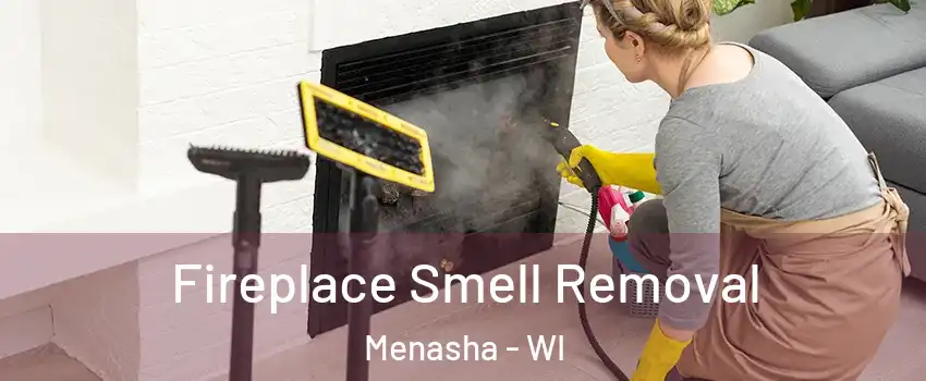 Fireplace Smell Removal Menasha - WI