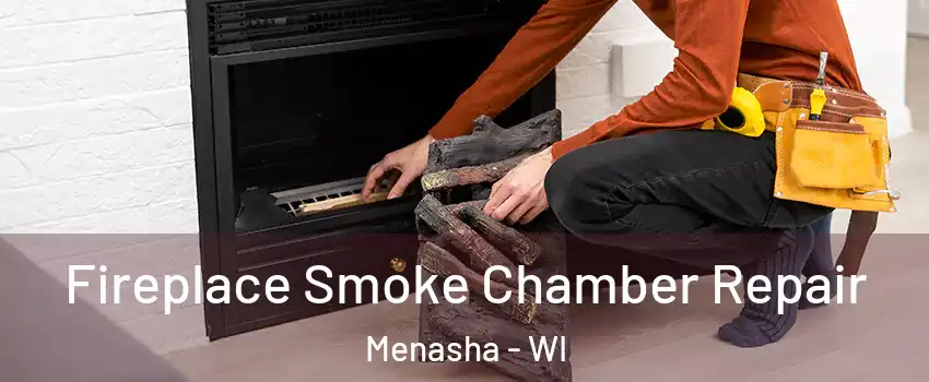  Fireplace Smoke Chamber Repair Menasha - WI