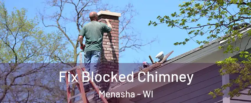 Fix Blocked Chimney Menasha - WI
