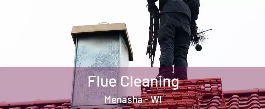 Flue Cleaning Menasha - WI
