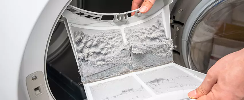 Best Dryer Lint Removal Company in Menasha, Wisconsin