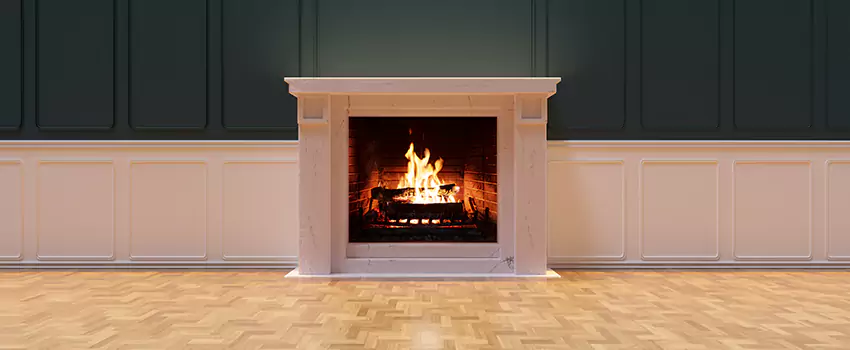 Napoleon Electric Fireplaces Inspection Service in Menasha, Wisconsin