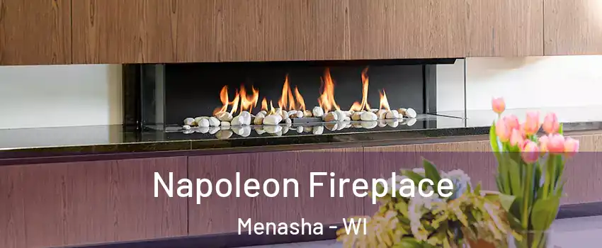  Napoleon Fireplace Menasha - WI