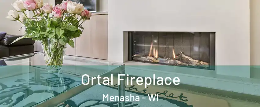  Ortal Fireplace Menasha - WI